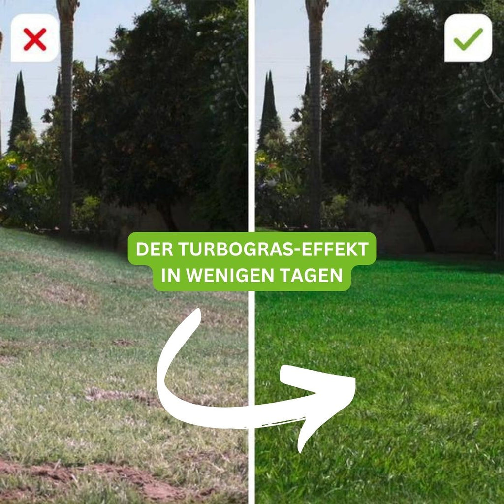 Turbogras - für gesunden und schnellwachsenden Rasen inkl. Gratis eBook für nachhaltige Gartenpflege