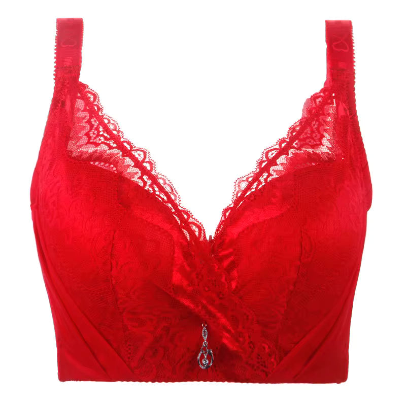 Selmira Plus Size Spitzen-BH mit Bügel – Full Coverage Push-Up BH für Damen, D/E Cup, EU 80–115