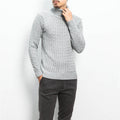 Herren nan Feinstrick-Rollkragenpullover mit Zopfmuster und schmaler Silhouette