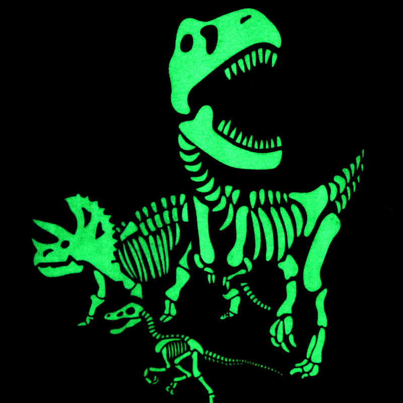 Jungen T-Shirt mit aufregendem Dinosaurier-Skelett-Design