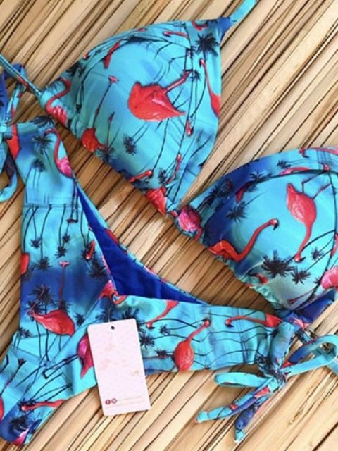 Selmira | Bikinis Satz Push up